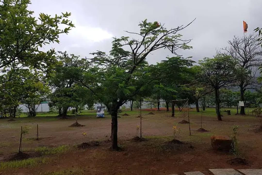 Rusticville Farmstay And Camping