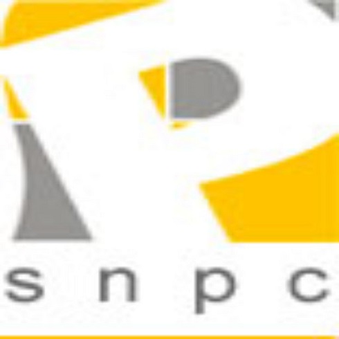 S N Pingle Consultants