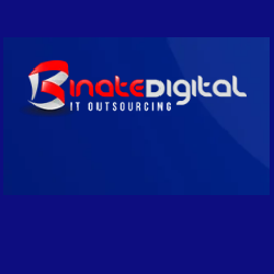 IT Outsourcing Company USA | Binate Digital