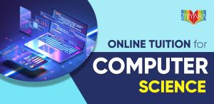 Can you believe it? Computer science online tuition turns binary into a blast