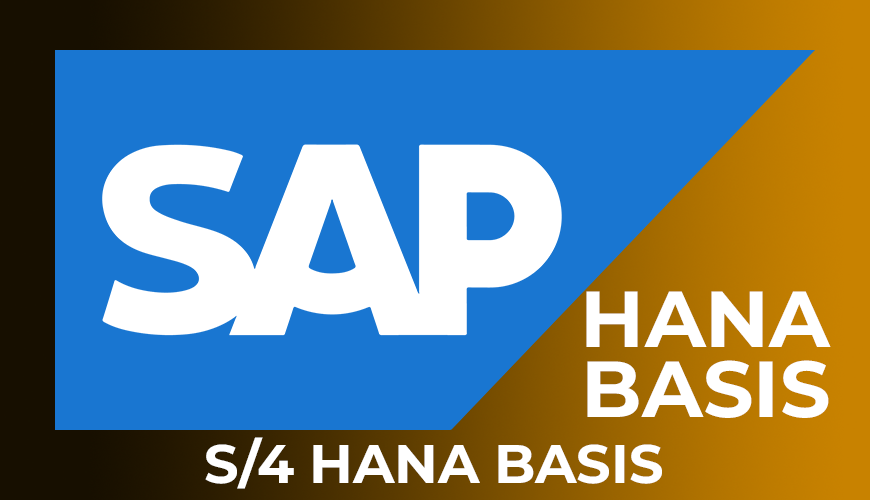 SAP Hana Basis