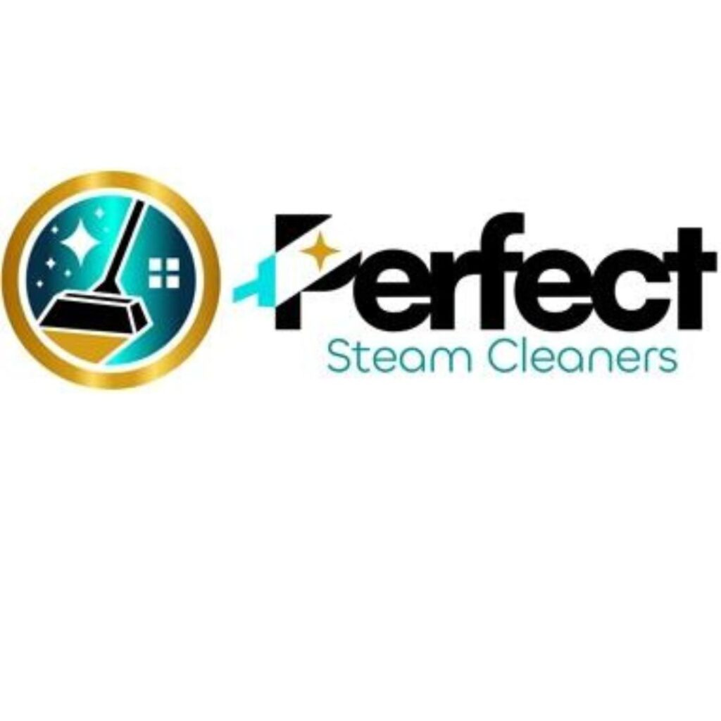 Perfect-Steam-Cleaners