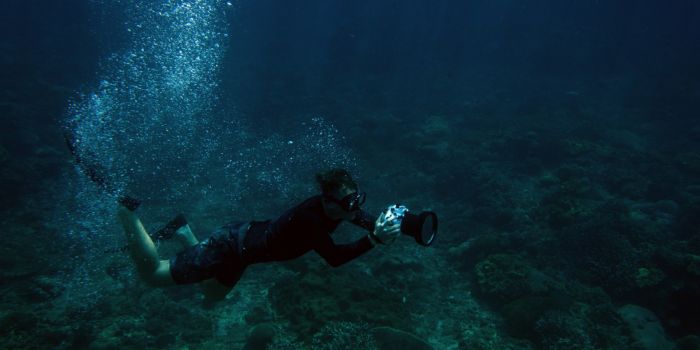 Diving-in-Mallorca