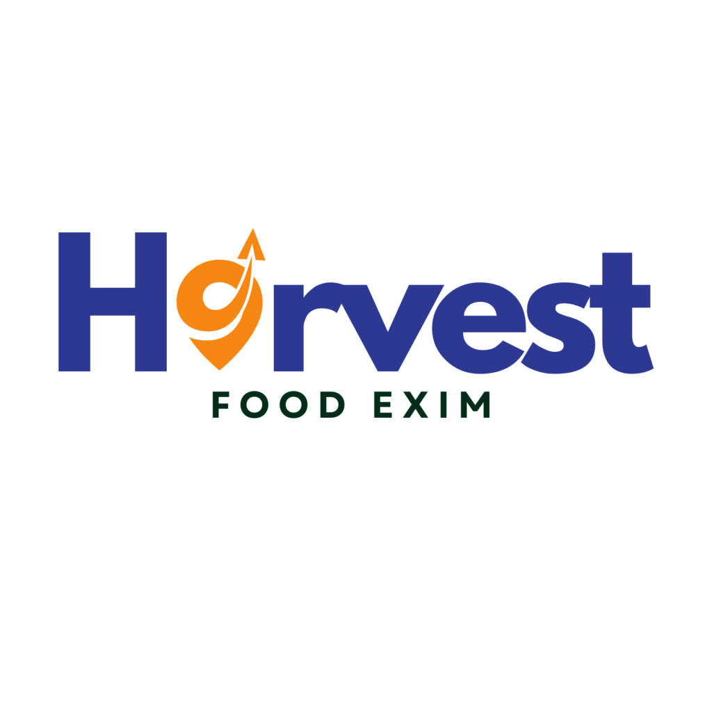 logo-1-1