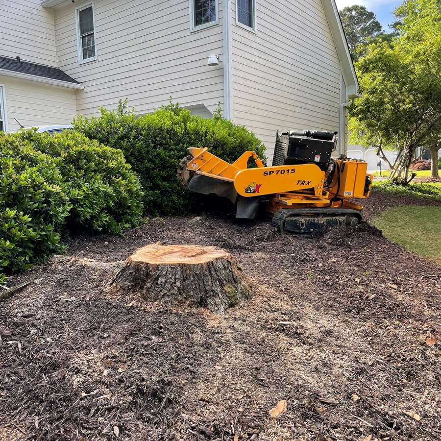 stump-grinding-canberra