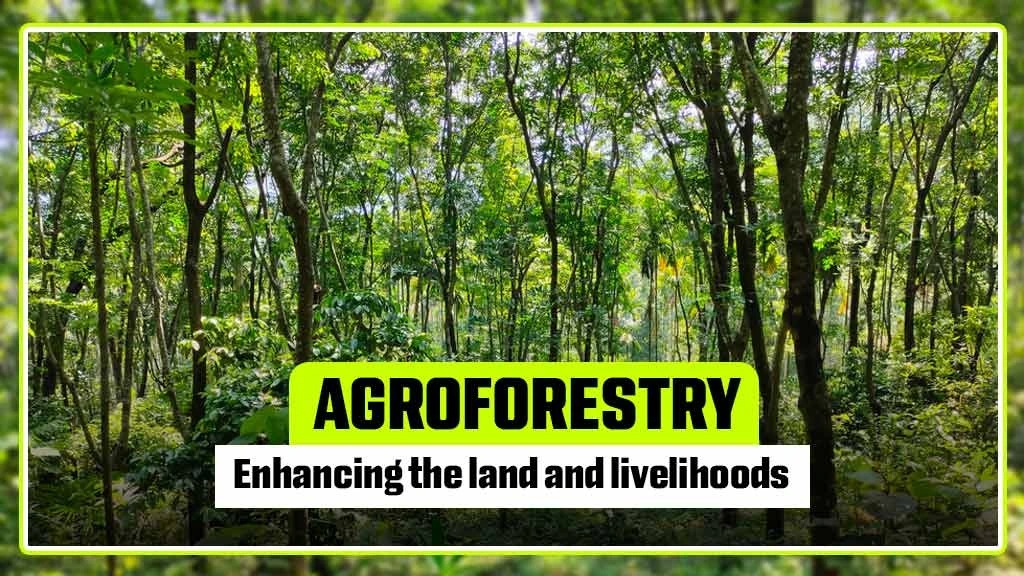 imgi_7_Agroforestry-Blog-banner