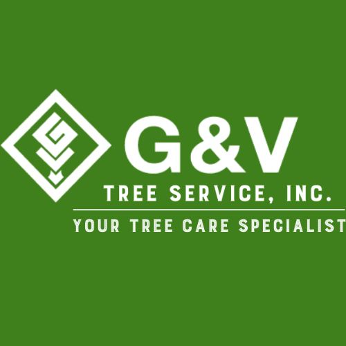 G & V Tree Service, Inc