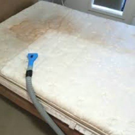 Complete Carpet & Tile Restoration