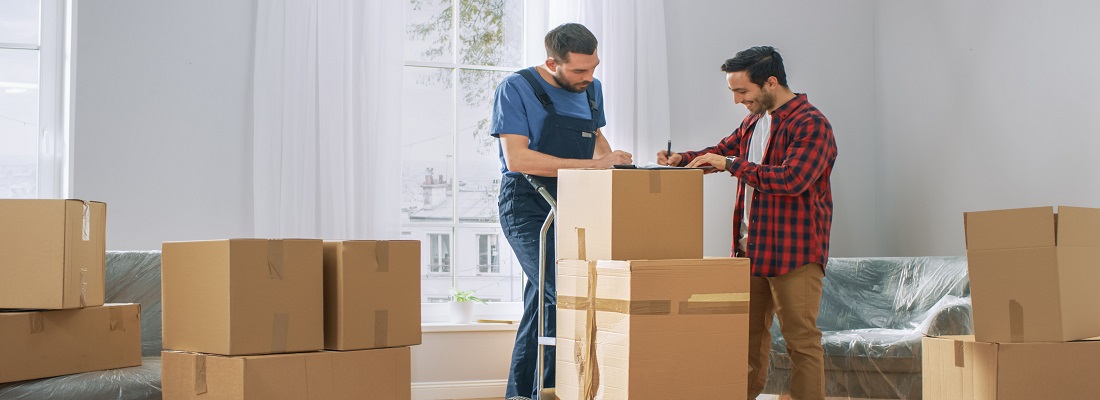 Hamilton Removalists