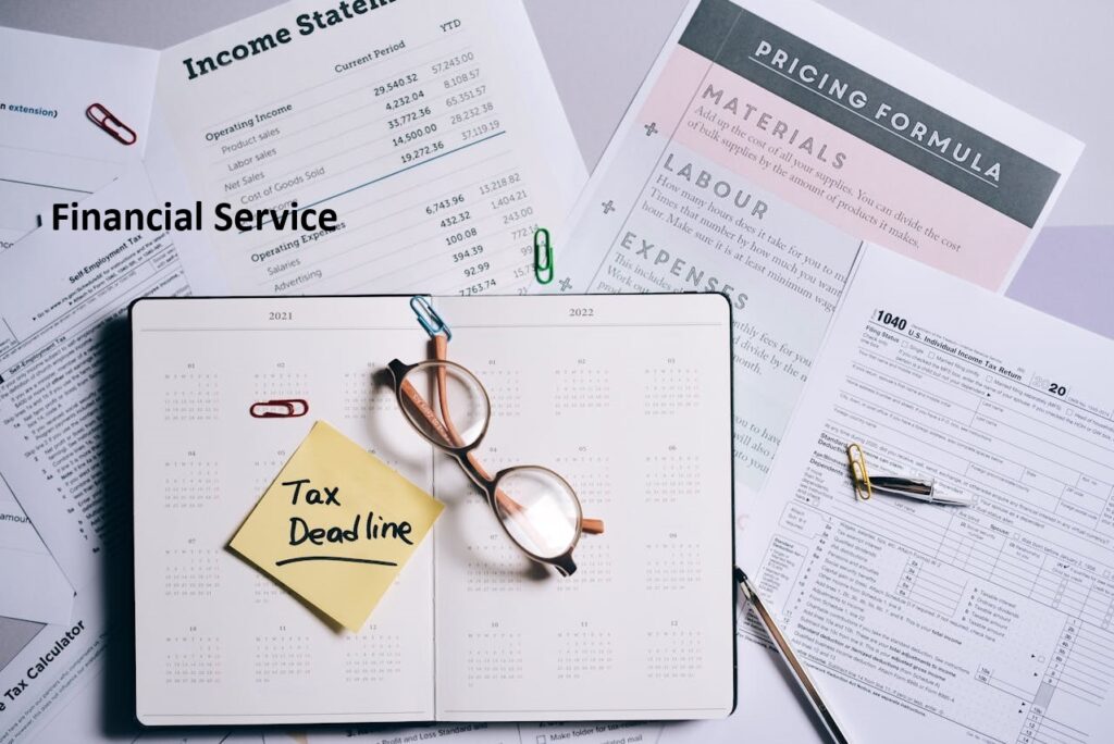 Is accounting a financial service or a professional service?