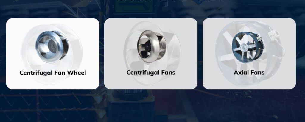 WhatsApp-Image-2025-07-31-at-3.28.10-PM