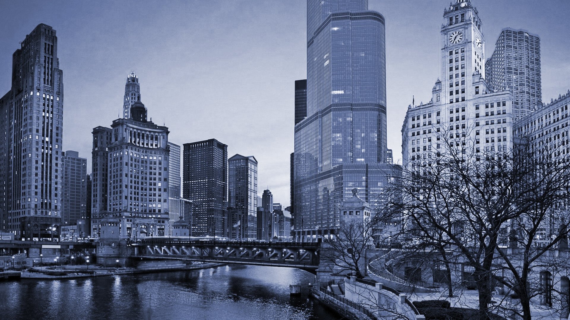 Best Divorce Attorney Aurora